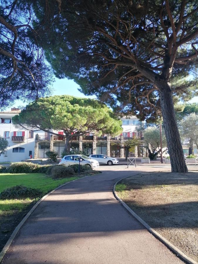 Appartement Aux Pieds Des Arènes